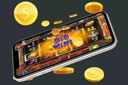 229 bet