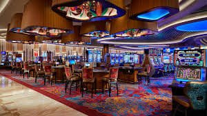 229 bet