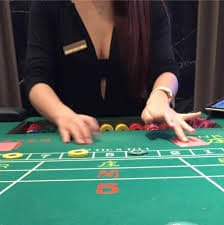229 bet
