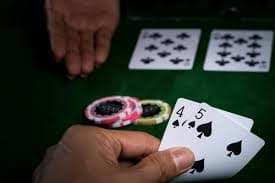 229 bet
